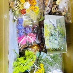 ドライフラワーいろいろ　花瓶にいれたりカゴに盛ってみたりの画像