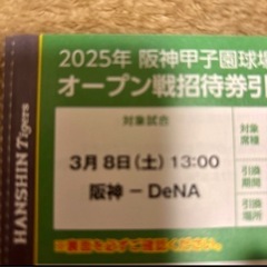 ⭕️お取引中⭕️★早い者勝ち★阪神オープン戦チケット（グリーンシ...