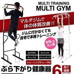 ぶら下がり健康器 懸垂 背筋伸ばし 物干しフック付き ホワイトの画像