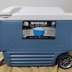 igloo maxcold ultra 40QT　クーラーボックス