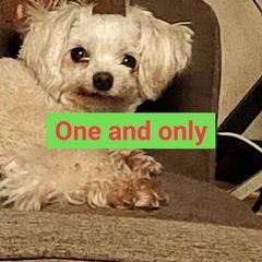 😍🙂‍↔️フリースクールOne and Onlyを体験させたい親御さん、集まれー。😍 - 茂原市