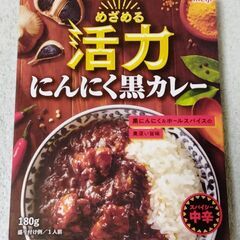 明治 めざめる活力にんにく黒カレー：賞味期限2025年11月 レトルト
