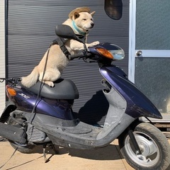 ジョグ　4サイクル　SA39J 実働　リペイント　仕上げベースに