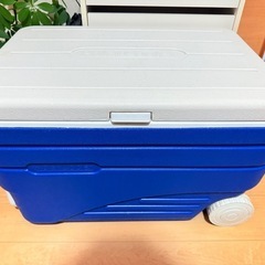 [お譲り先決定]大きいクーラーボックス