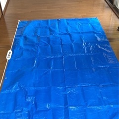 ブルーシートの画像