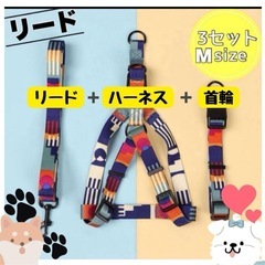 ハーネス　リード　 首輪　3点セット　リード　セット　カラフル ...