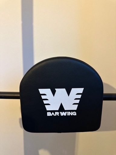 懸垂 チンニングバー 引き取り限定