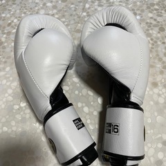 ボディメーカー BODYMAKER ボクシンググローブ サムライエッジ 16OZ ホワイトの画像