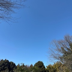 【新しい心の扉を開けるヒーリング】を受けてみませんか？