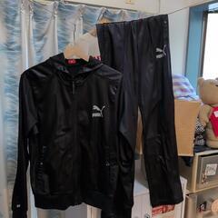 PUMAセットアップジャージ
