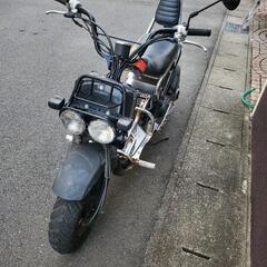 即乗りOK　HONDAズーマー50