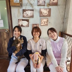 春のわんパン祭り2025 − 福岡県