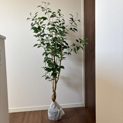 150cm フェイクグリーン 観葉植物 ベンジャミン