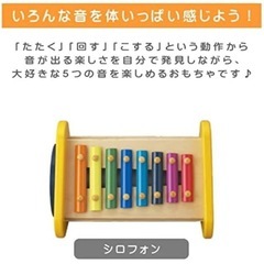 エドインター/ エド・インター 森の音楽会 の画像