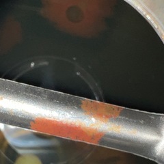 ホンダ　フラッシュの画像