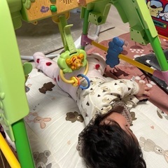 プーさんのベビージムの画像