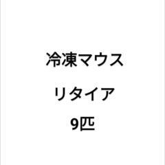 冷凍マウス リタイア