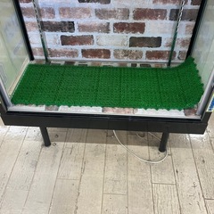 2月中で移転となります。東区　和白　ガラスケース　キャビネット　ショーケース　コレクションケース　の画像