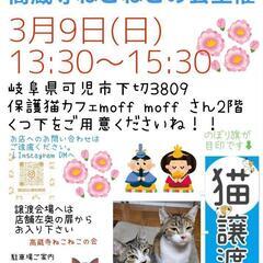 ねこの譲渡会　高蔵寺ねこねこの会