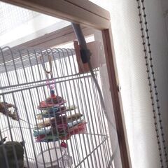 小鳥用の保温・防音アクリルカバーの画像