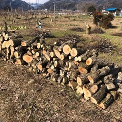 No40 薪 梨の玉切り 3トン分　引取り限定の画像