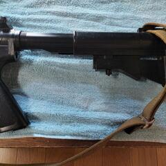 M16今日引き取り可能な方の画像
