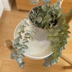 IKEAプラントスタンド　の画像