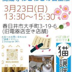 ねこの譲渡会　春日井市大手町