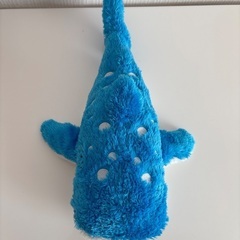 美ら海水族館　ジンベイザメの画像