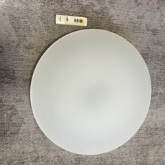 シーリングライト