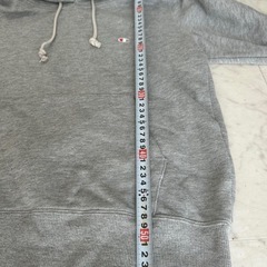 Champion チャンピオン レディース プルオーバー パーカー グレー LLの画像
