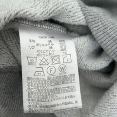 Champion チャンピオン レディース プルオーバー パーカー グレー LLの画像