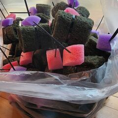 めだか【産卵床】