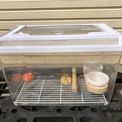 小鳥　虫　ハムスター　カゴ