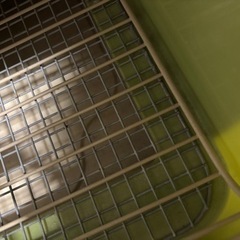 うさぎ小屋 うさぎ飼育セット トイレ 牧草入れ 水飲みの画像