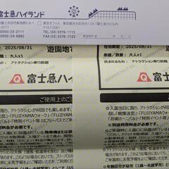 富士急ハイランド　フリーパス　大人2名分 2025.8.31まで