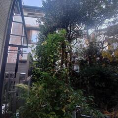 高知県空き家管理対策