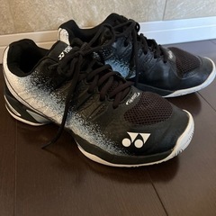 【美品】ヨネックス　パワークッション　ワイド　25cm AC ハードコートの画像