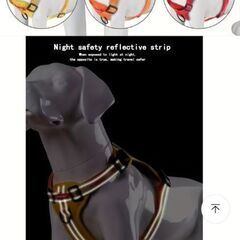 犬ハーネス(Mサイズ)の画像