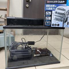 熱帯魚・メダカ飼育40cm水槽セット♫