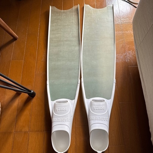 リーダーフィン