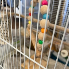 小鳥カゴset  全部まとめての画像