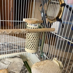 小鳥カゴset  全部まとめての画像