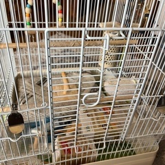 小鳥カゴset  全部まとめての画像