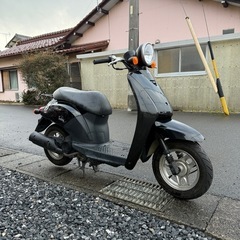 格安現状販売 HONDA Today エンジン問題なくかかります！！の画像