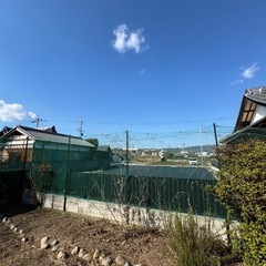 防鳥ネット+支柱