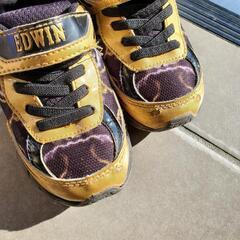 EDWIN・17cmの画像