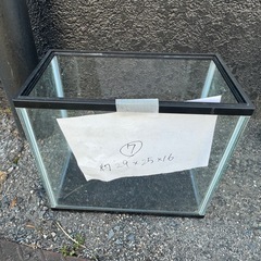 
約45センチ水槽