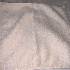 今治産オーガニックコットンハンドタオルの画像