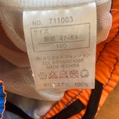 男の子　PICO  
水着　100の画像